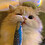 knepts